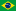 Portugues - Brasil